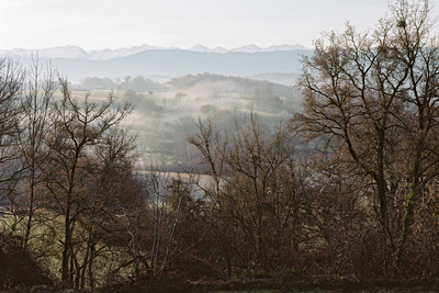 063_Chateau de Beauvoir - © Julien Hourcade, FP01